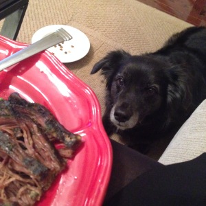 Gabi waiting for me to give her a piece of my steak